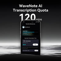 120 Minutes Transcription Quota